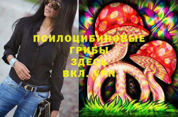 гидра Медвежьегорск