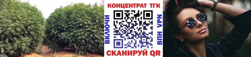 blacksprut   Чаплыгин  Дистиллят ТГК концентрат  цены наркотик 
