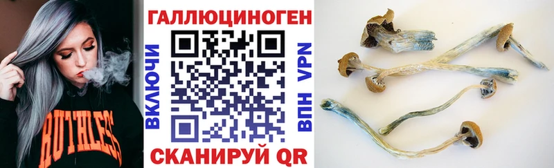 Псилоцибиновые грибы Psilocybine cubensis  даркнет сайт  Чаплыгин 