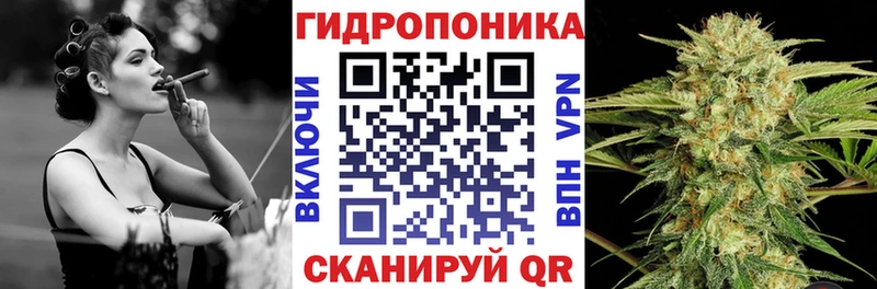 MEGA ССЫЛКА  Чаплыгин  сайты даркнета как зайти  Бошки марихуана сатива 